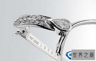 ​世界上最贵的眼镜 LOTOS眼镜50万欧元一副