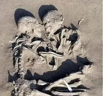 世界上的奇闻轶事（来自世界各地的）(2)