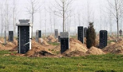 ​坟上没有长草后裔必出什么人，是吉仍旧凶_传闻是大凶之兆