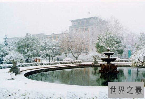 浙江大学专业排名，排在第六位的茶学专业近日十分火爆