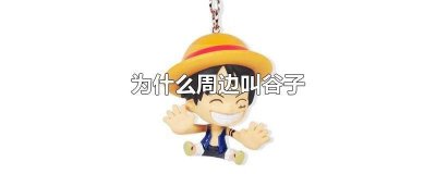 ​关于谷子的 谷子是干什么用的