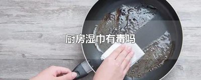 ​厨房湿巾有毒吗