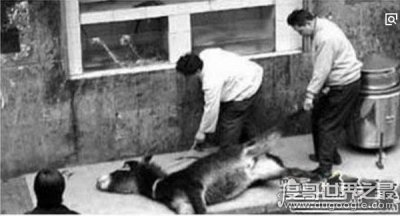 ​中国十大禁菜名单，浇驴肉做法太残忍(活剥驴皮烫驴肉)