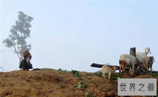 目前世界上最矮的人75岁未娶 身高仅有54.6厘米