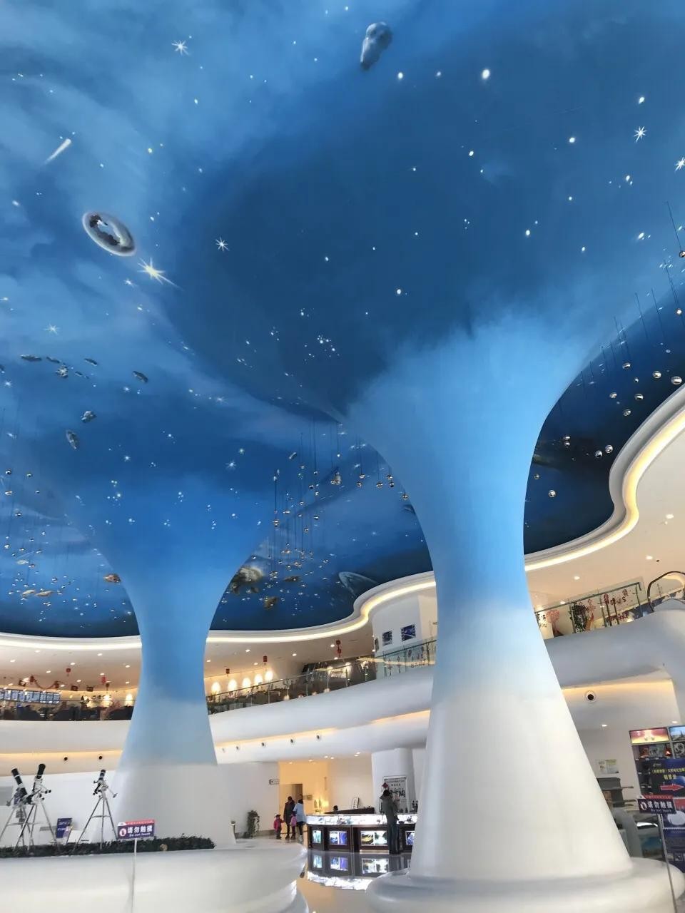 世界最大的望远镜