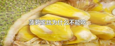 ​菠萝蜜的丝能吃不 菠萝蜜的丝能吃么