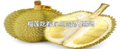 ​榴莲吃着有点脆是不熟吗