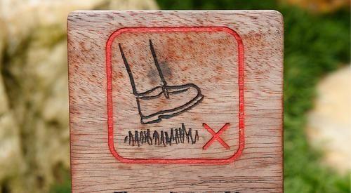 《说文解字》第328课：成语“踽踽独行”，“踽”字你读错了吗？