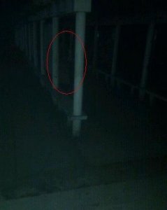 ​世界上到底有没有鬼（科学解释世界上有没有鬼）