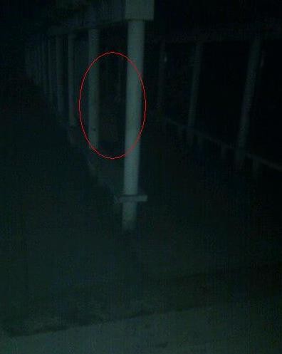 世界上到底有没有鬼（科学解释世界上有没有鬼）