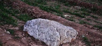 ​中国最低的山有多高，没有到1米的静山_瞅着像一齐石头