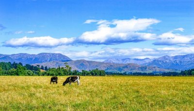 ​中国四大粮仓