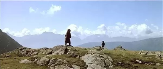 冷门高分电影推荐（5部被严重低估的冷门高分电影）