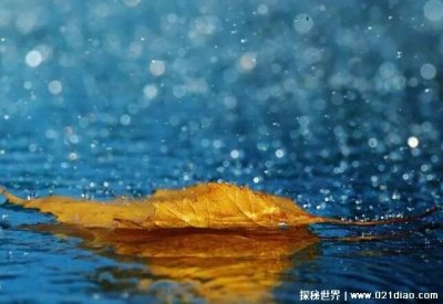 ​人生最好是小满的寓意是什么意思，知足常乐(花未开全月未圆)