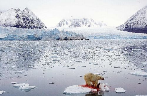 全球变暖导致高温的原因