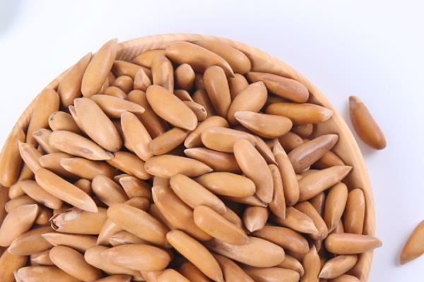 松子肉里为什么空心的 是这个原因