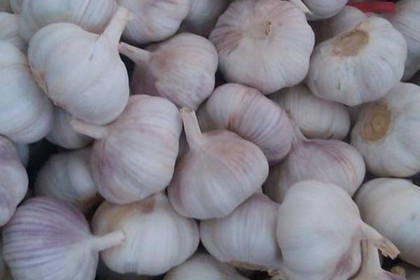 大蒜能减肥吗 大蒜减肥方法