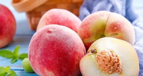 桃子里面长虫子的原因,桃子里面长虫子的原因怎么解决图4