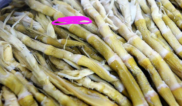 笋干发霉和发白的区别,怎么辨别笋干是否发霉图片对比图2