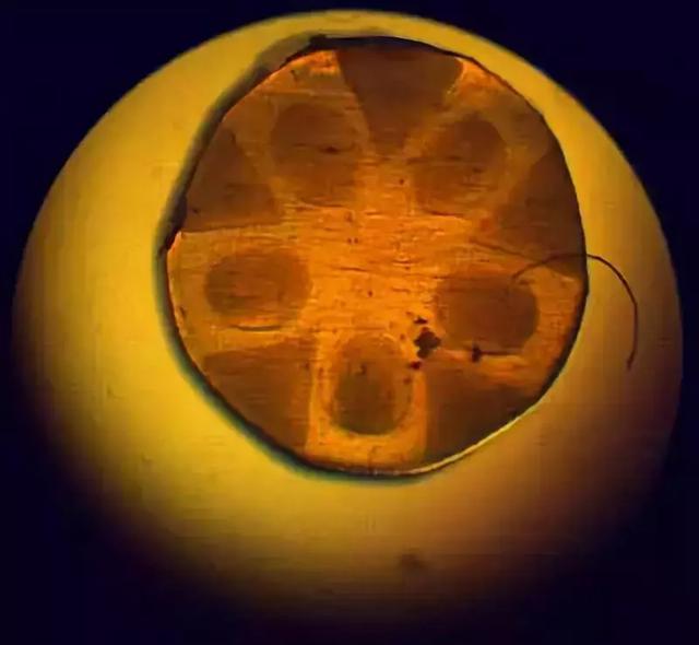 锦织圭什么时候复出（亚洲一哥锦织圭的换线历程）(9)