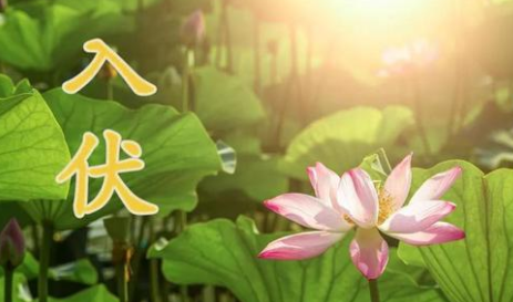 夏至三庚数头伏：夏至后的第三个庚日是入伏