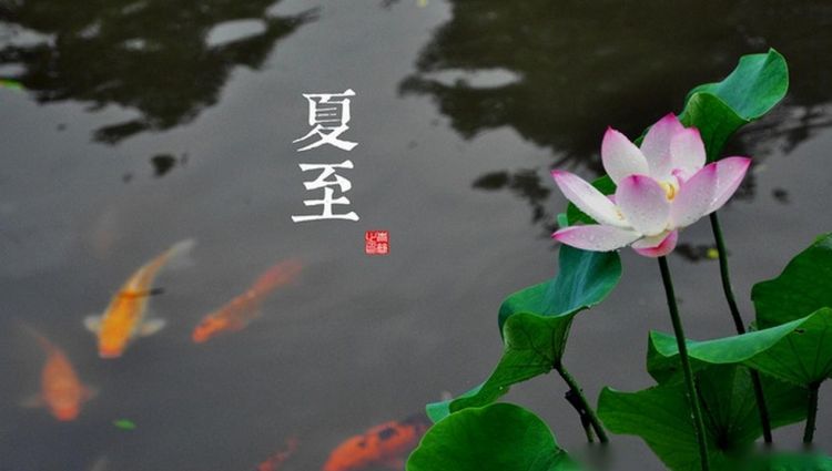 夏至三庚数头伏：俗语“夏至三庚入伏”