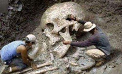 ​世界十大毒性最强的动物 地球上毒性最强大的动物