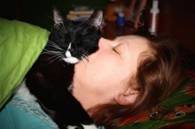 ​巴西龟对人体有害吗？巴西龟对人的好处