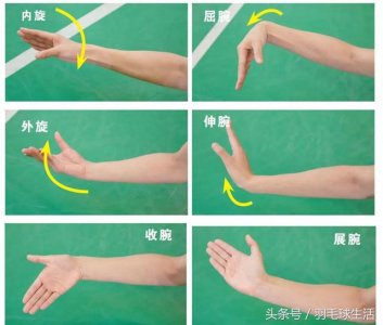 ​单打羽毛球发球技巧和手法（王琳教你羽毛球发球技巧）