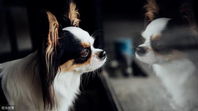 经典搞笑幽默句子精选100句（经典幽默的搞笑句子）(2)