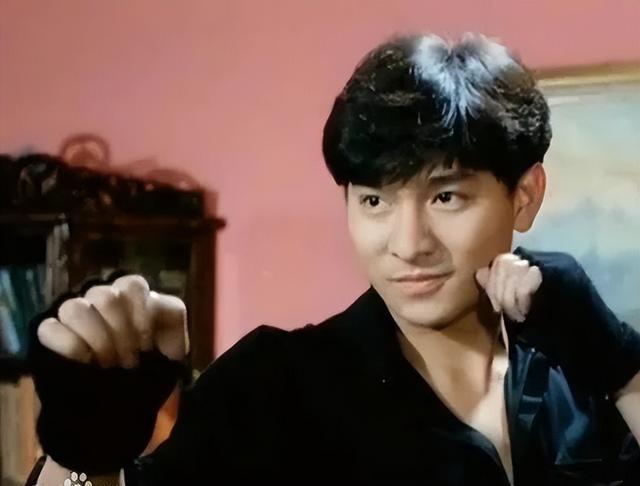 刘德华主演所有电影（刘德华参演的全部电影）(2)