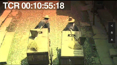 风筝电视剧46集解析（51集送审版风筝人物解读）(58)