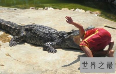 ​数一数那些可怕的鳄鱼吃人的事件 你知道哪些