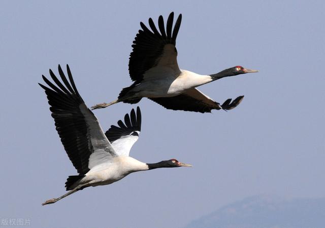 大羌塘无人区攻略图（带羌qiang字地方你可不能盲目的去哦）(2)