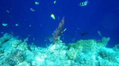 ​西安不需要门票的免费景点有啥