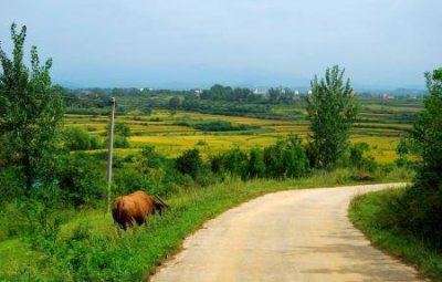 ​六盘水216生态旅游六盘水市生态