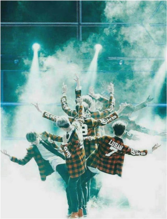 exo十周年语录（每首旋律都是青春）(4)