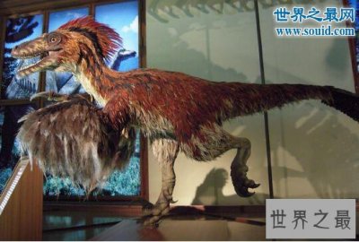 ​史上速度最快的恐龙，恐爪龙(比霸王龙更厉害)