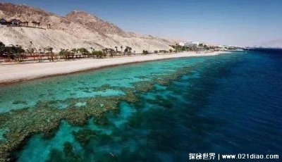 ​世界上最大的海是什么海，太平洋的珊瑚海(479.1万平方公里)