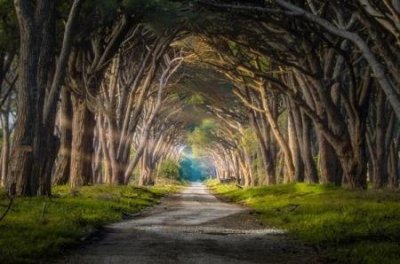 ​马航失踪的人员名单 马航失踪的重要人员