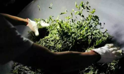 ​龙井手工炒法,杭州市西湖龙井茶协会