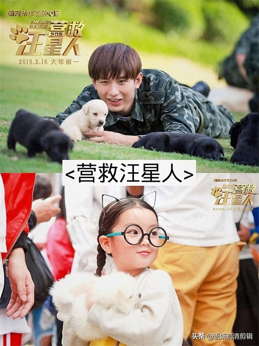 9部袁冰妍和成毅主演的电视剧，你看过哪几部？最爱哪一部？