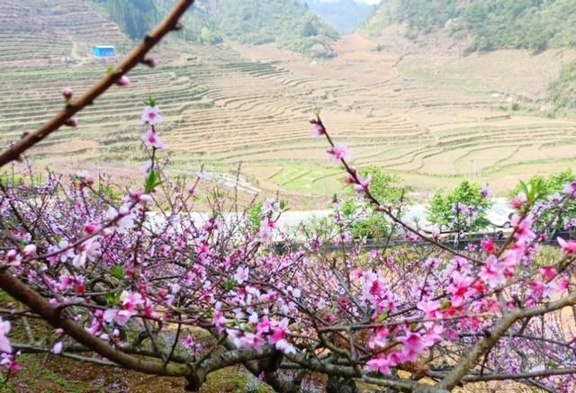 春天早上问候语，一年四季的早晨是什么样子的，春天的早晨是什么样子的，夏天呢？秋天呢？冬天呢？图12