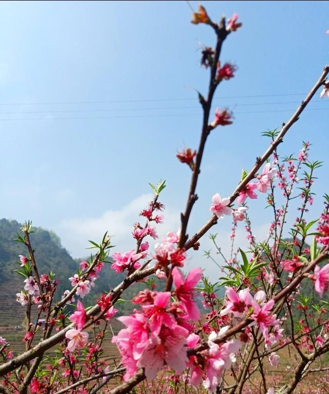 春天早上问候语，一年四季的早晨是什么样子的，春天的早晨是什么样子的，夏天呢？秋天呢？冬天呢？图9