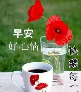 ​春天早上问候语，一年四季的早晨是什么样子的，春天的早晨是什么样子的，