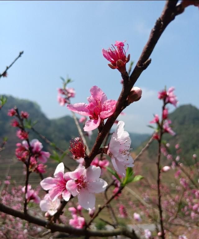 春天早上问候语，一年四季的早晨是什么样子的，春天的早晨是什么样子的，夏天呢？秋天呢？冬天呢？图10