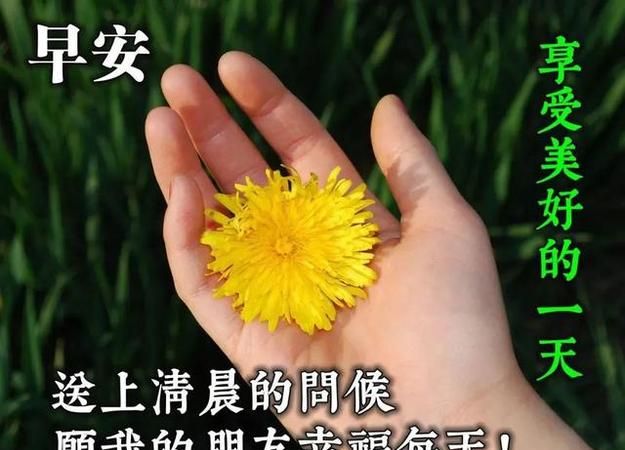 二年级（（春晓)）这首诗描写的是春天什么的景色