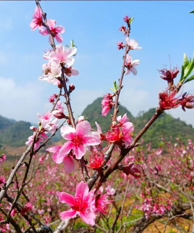 春天早上问候语，一年四季的早晨是什么样子的，春天的早晨是什么样子的，夏天呢？秋天呢？冬天呢？图11