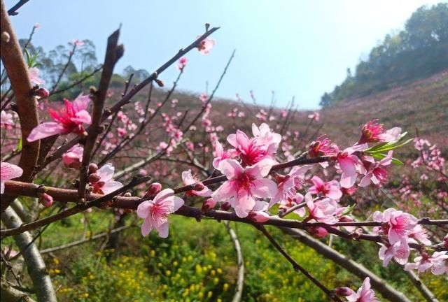 春天早上问候语，一年四季的早晨是什么样子的，春天的早晨是什么样子的，夏天呢？秋天呢？冬天呢？图8