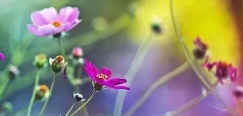 春天早上问候语，一年四季的早晨是什么样子的，春天的早晨是什么样子的，夏天呢？秋天呢？冬天呢？图5